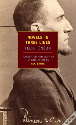 Capa do artigo Novels In Three Lines