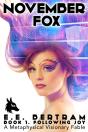 November Fox - Book 1. Following Joy: A - Preview