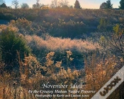 Capa do artigo November Idyll