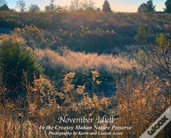 Capa do artigo November Idyll