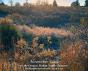 November Idyll - Preview