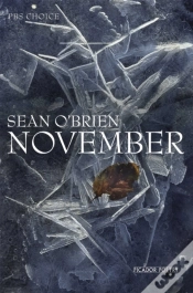 Capa do artigo November