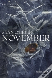 Capa do artigo November