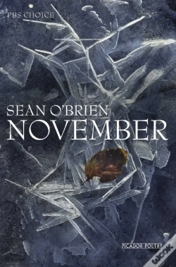 Capa do artigo November