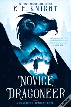 Capa do artigo Novice Dragoneer
