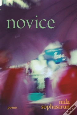 Capa do artigo Novice