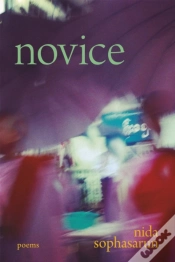 Capa do artigo Novice