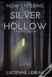Capa do artigo Now Entering Silver Hollow