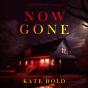 Now Gone (A Brynn Justice Fbi Suspense Thriller—Book Two) - Preview