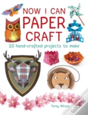 Capa do artigo Now I Can Paper Craft: 20 Hand-Crafted Projects To Make