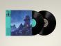 Now I Imagine a Place Not the Same - Vinil - Preview