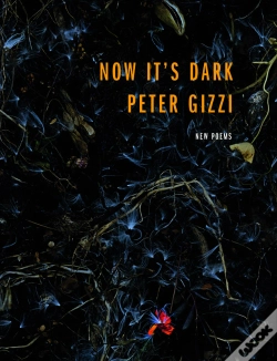 Capa do artigo Now It'S Dark