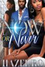 Now Or Never - Preview