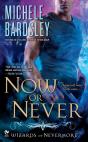 Now Or Never - Preview