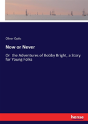 Now Or Never - Preview