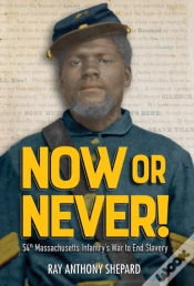 Capa do artigo Now Or Never!