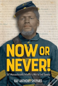 Capa do artigo Now Or Never!