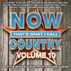 Capa do artigo Now That's What I Call Country Volume 10 - CD