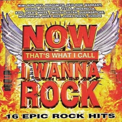 Capa do artigo Now That's What I Call I Wanna Rock - CD