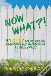 Now What !: 50 Easy Scriptures On Beginn
