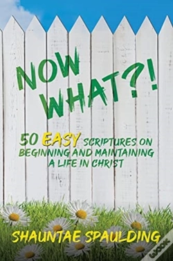Capa do artigo Now What !: 50 Easy Scriptures On Beginn