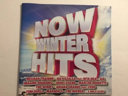 Capa do artigo Now Winter Hits 2014 - CD