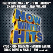 Capa do artigo Now Winter Hits  - CD