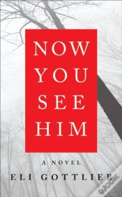 Capa do artigo Now You See Him