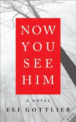 Capa do artigo Now You See Him