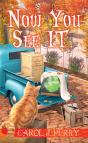 Now You See It - Preview