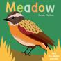 Now You See It! Meadow - Preview