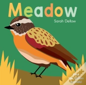 Capa do artigo Now You See It! Meadow