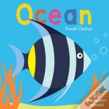 Now You See It! Ocean