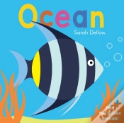 Capa do artigo Now You See It! Ocean