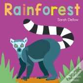 Now You See It! Rainforest