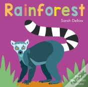 Capa do artigo Now You See It! Rainforest