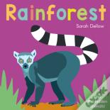 Now You See It! Rainforest