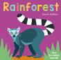 Now You See It! Rainforest - Preview