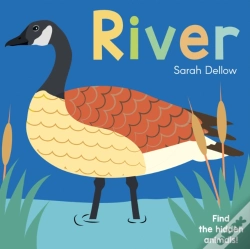 Capa do artigo Now You See It! River