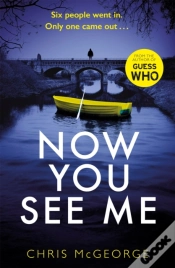 Capa do artigo Now You See Me