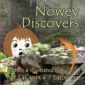 Capa do artigo Nowey Discovers