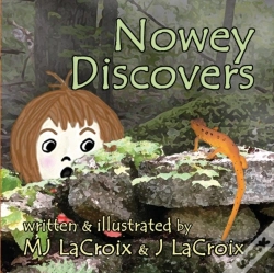 Capa do artigo Nowey Discovers