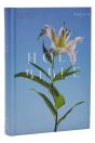 Nrsv Catholic Edition Bible, Easter Lily Hardcover (Global Cover Series) - Preview