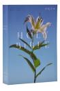 Nrsv Catholic Edition Bible, Easter Lily Paperback (Global Cover Series) - Preview