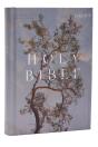 Nrsv Catholic Edition Bible, Eucalyptus Hardcover (Global Cover Series) - Preview