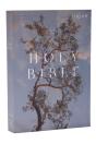 Nrsv Catholic Edition Bible, Eucalyptus Paperback (Global Cover Series) - Preview