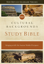 Nrsv, Cultural Backgrounds Study Bible, Hardcover, Comfort Print - Preview