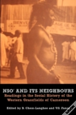 Capa do artigo Nso And Its Neighbours