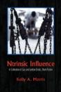 Ntrinsic Influence - Preview
