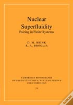 Capa do artigo Nuclear Superfluidity